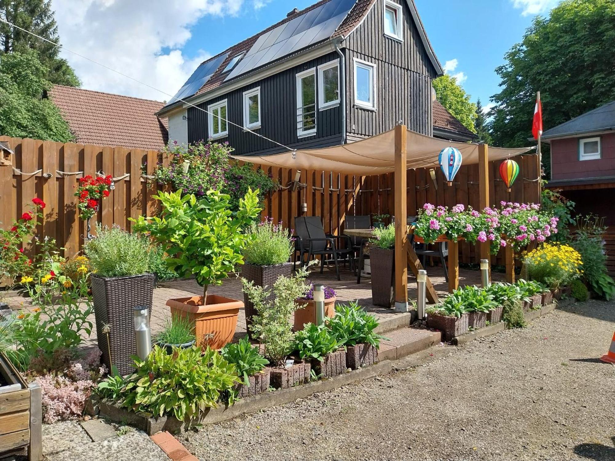 Gaestehaus Wetzel Braunlage Ngoại thất bức ảnh